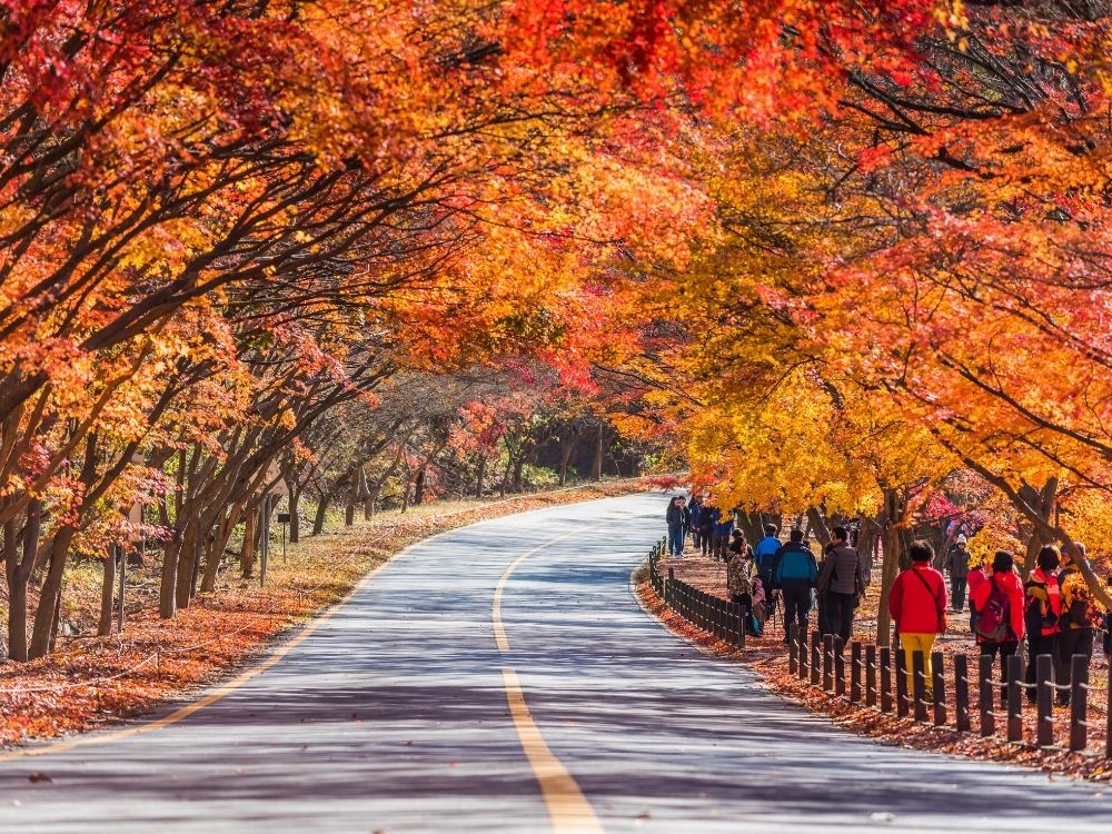 Viaggio in Corea del Sud